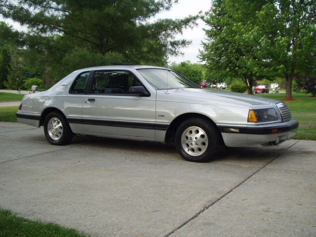 84bird.JPG