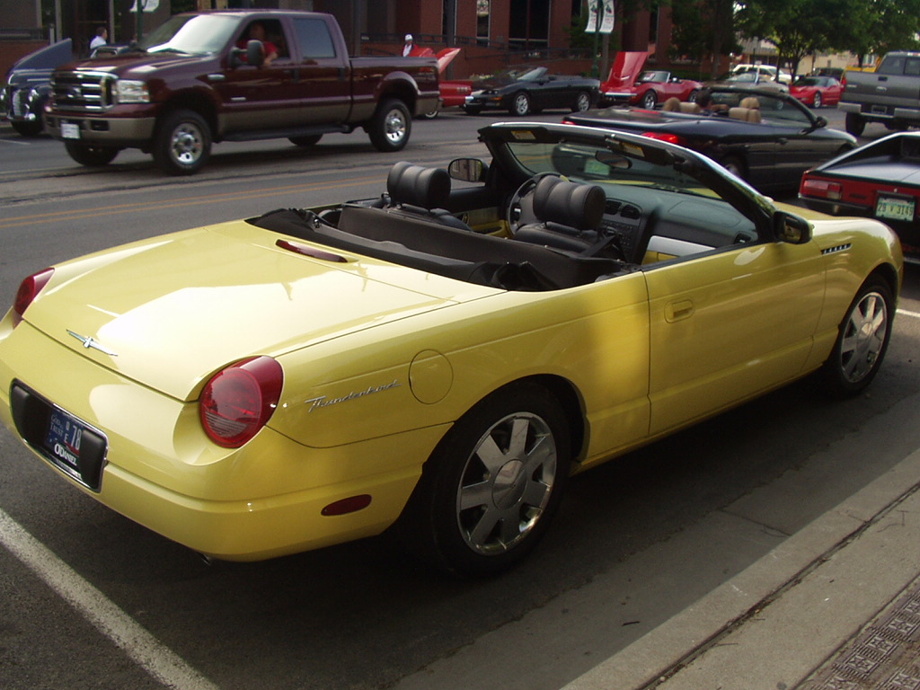 pic30.JPG