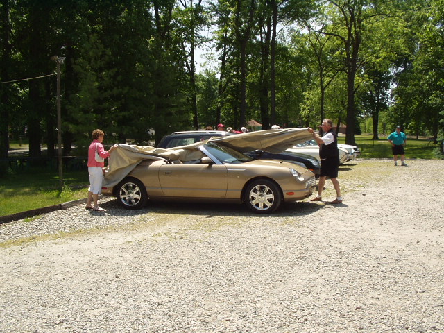 pic8.JPG
